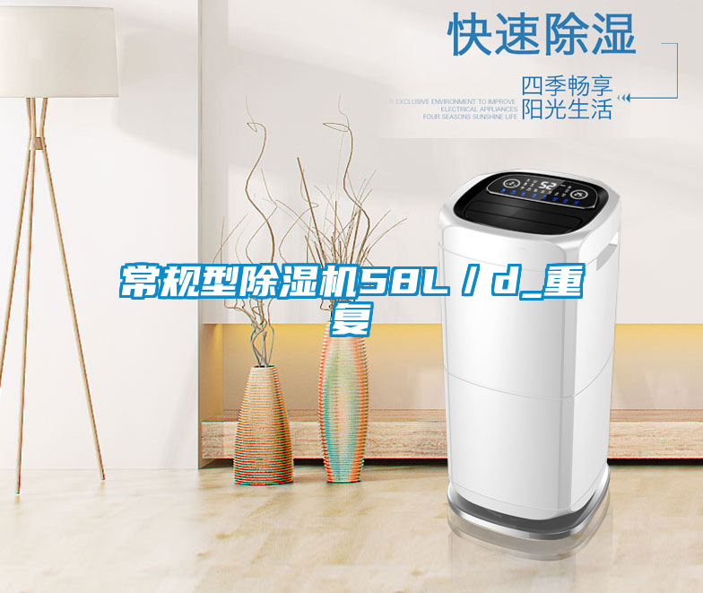 常规型除湿机58L/d_重复