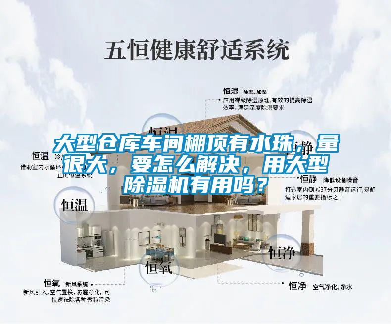 大型仓库车间棚顶有水珠,量很大,要怎么解决,用大型除湿机有用吗?