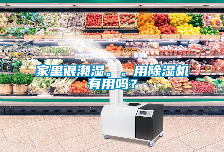 家里很潮湿。。用除湿机有用吗?