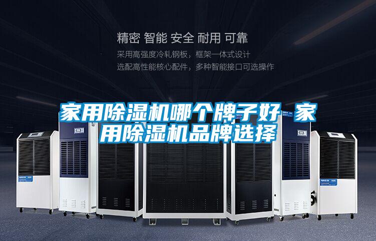 家用除湿机哪个牌子好 家用除湿机品牌选择