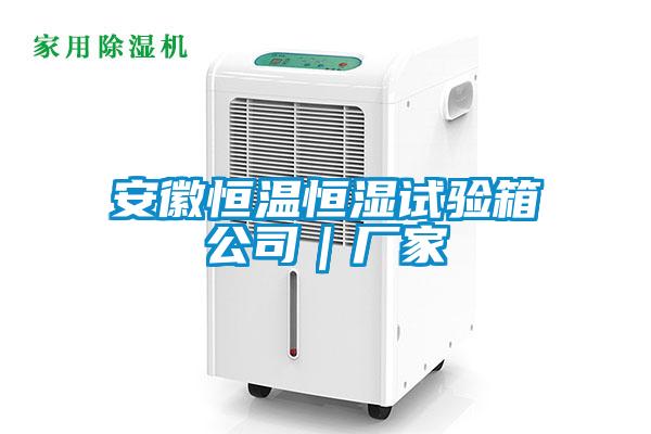 安徽恒温恒湿试验箱公司|厂家