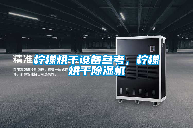 柠檬烘干设备参考,柠檬烘干除湿机