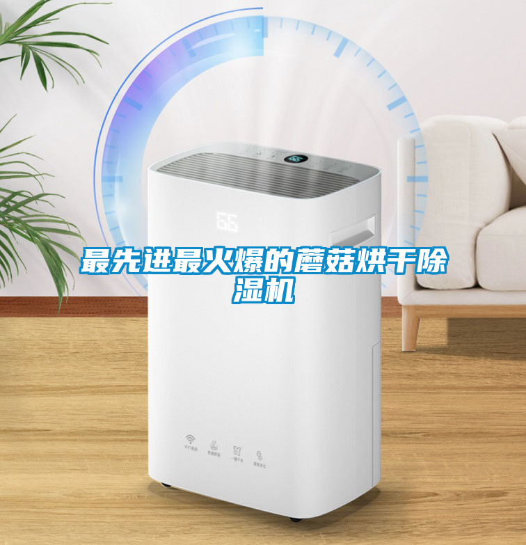 最先进最火爆的蘑菇烘干除湿机