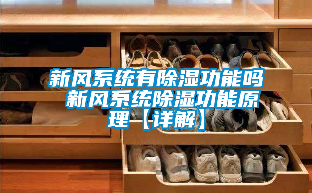 新风系统有除湿功能吗 新风系统除湿功能原理【详解】
