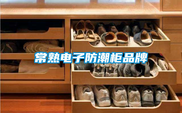 常熟电子防潮柜品牌