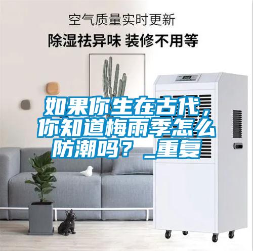 如果你生在古代,你知道梅雨季怎么防潮吗?_重复