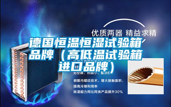 德国恒温恒湿试验箱品牌(高低温试验箱进口品牌)