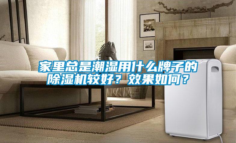 家里总是潮湿用什么牌子的除湿机较好?效果如何?