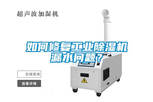如何修复工业除湿机漏水问题?