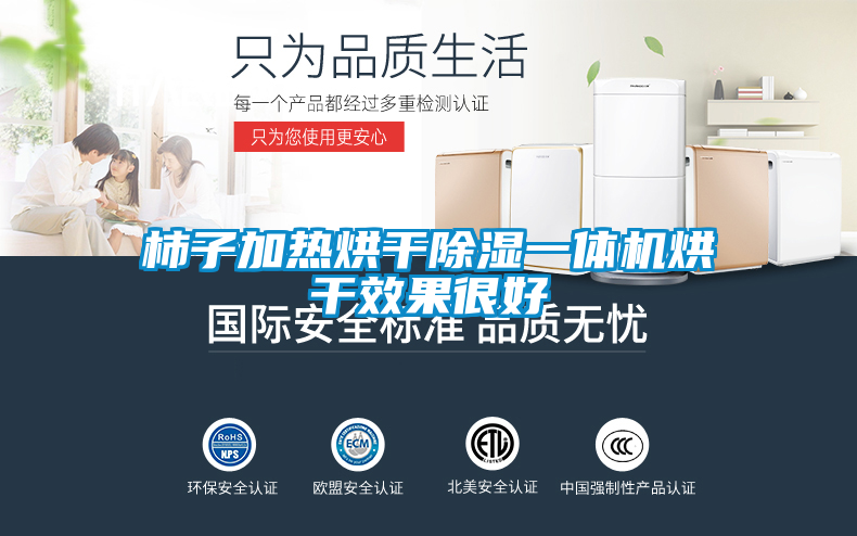 柿子加热烘干除湿一体机烘干效果很好