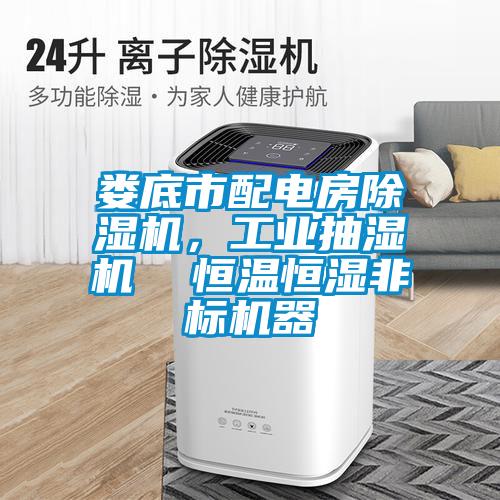 娄底市配电房除湿机,工业抽湿机  恒温恒湿非标机器