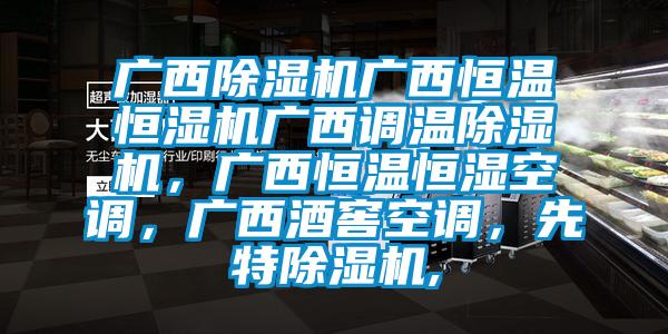 广西除湿机广西恒温恒湿机广西调温除湿机,广西恒温恒湿空调,广西酒窖空调,先特除湿机,