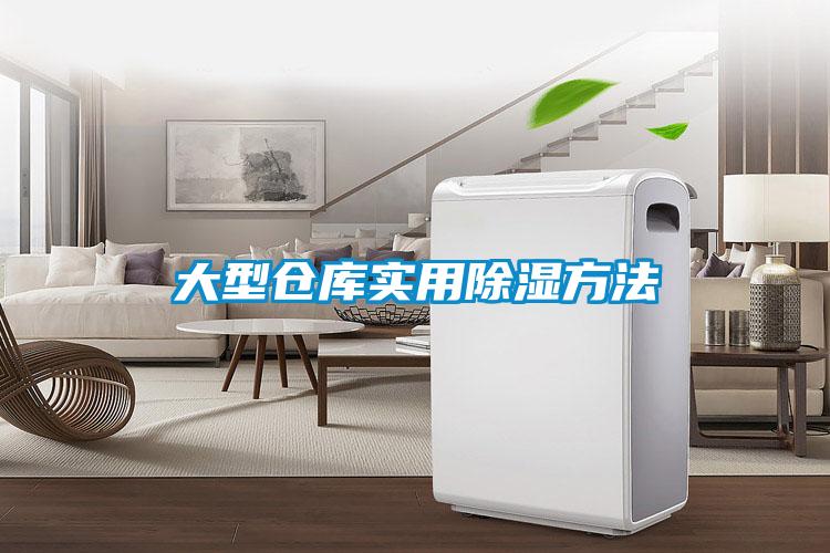 大型仓库实用除湿方法