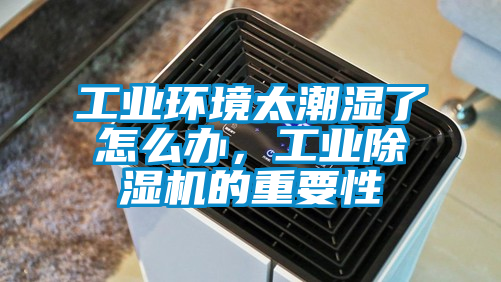 工业环境太潮湿了怎么办，工业除湿机的重要性