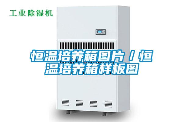 恒温培养箱图片/恒温培养箱样板图