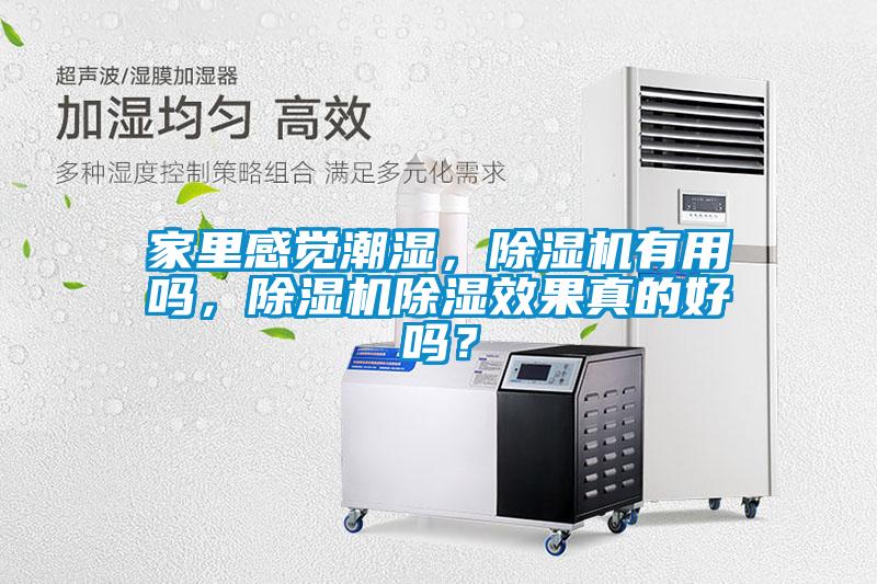 家里感觉潮湿,除湿机有用吗,除湿机除湿效果真的好吗?