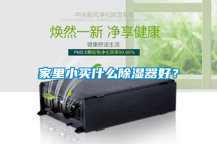 家里小买什么除湿器好?