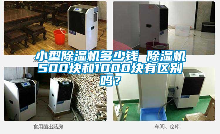 小型除湿机多少钱 除湿机500块和1000块有区别吗？
