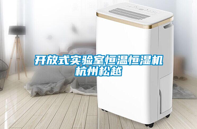 开放式实验室恒温恒湿机杭州松越