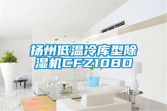 扬州低温冷库型除湿机CFZ10BD