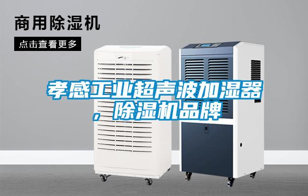 孝感工业超声波加湿器,除湿机品牌