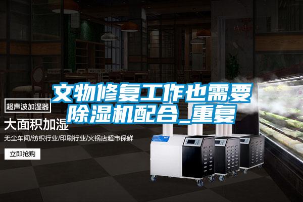 文物修复工作也需要除湿机配合_重复