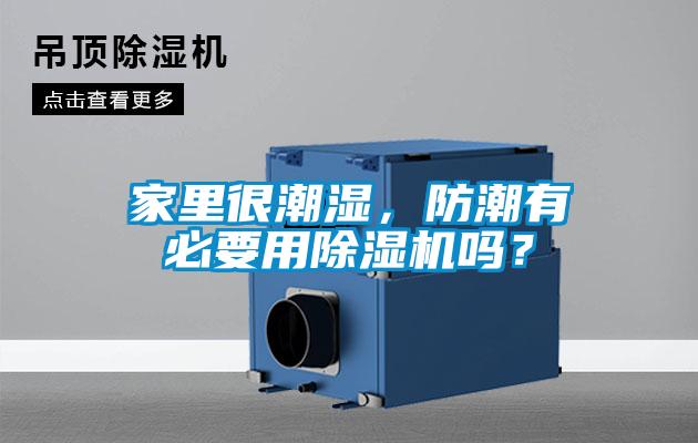 家里很潮湿,防潮有必要用除湿机吗?