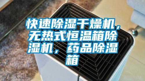 快速除湿干燥机,无热式恒温箱除湿机,药品除湿箱
