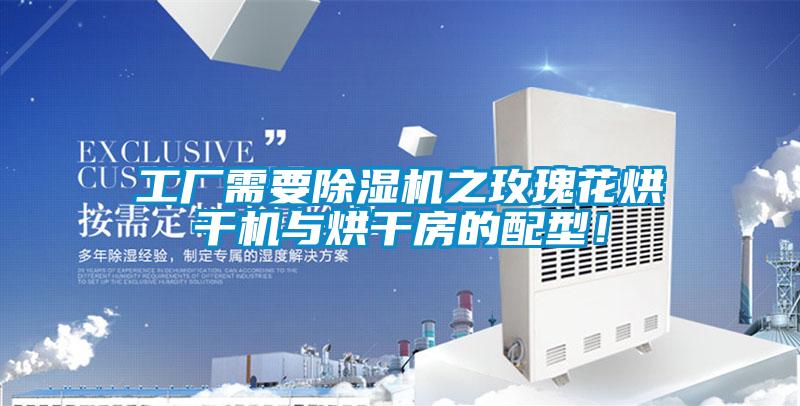 工厂需要除湿机之玫瑰花烘干机与烘干房的配型！