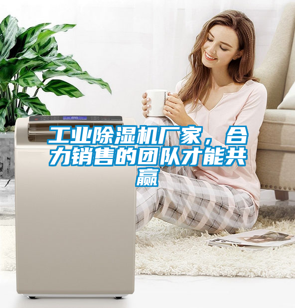 工业除湿机厂家，合力销售的团队才能共赢