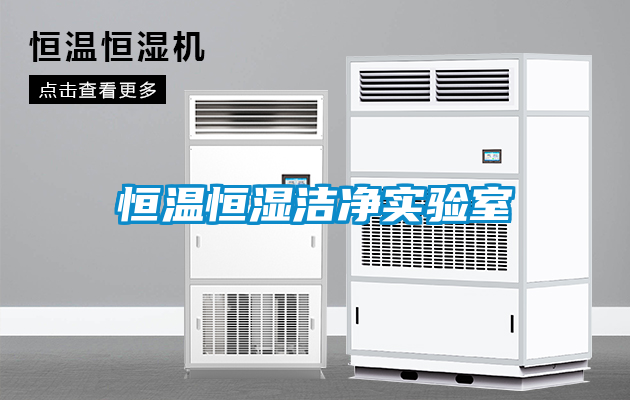 恒温恒湿洁净实验室