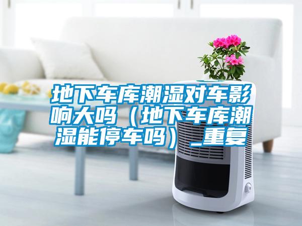 地下车库潮湿对车影响大吗(地下车库潮湿能停车吗)_重复