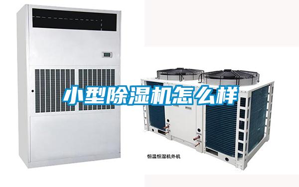 小型除湿机怎么样