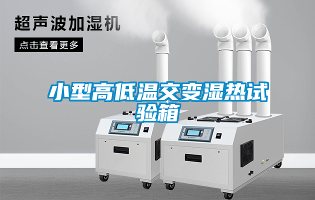 小型高低温交变湿热试验箱