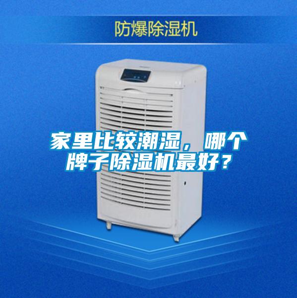 家里比较潮湿,哪个牌子除湿机最好?
