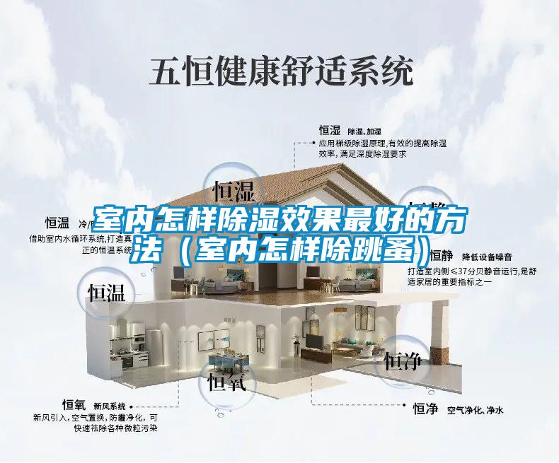 室内怎样除湿效果最好的方法（室内怎样除跳蚤）