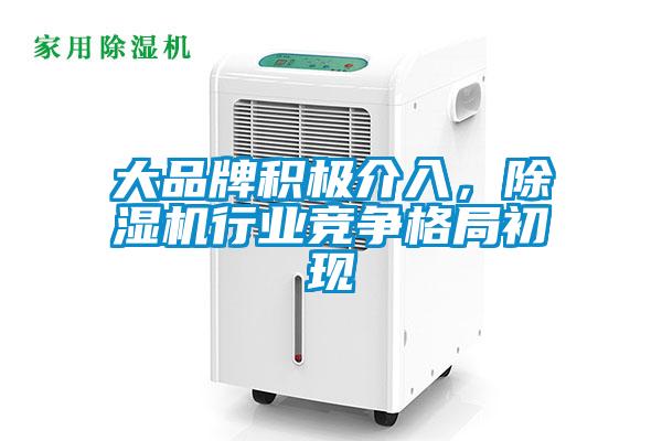 大品牌积极介入,除湿机行业竞争格局初现