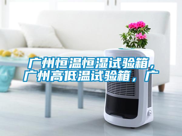 广州恒温恒湿试验箱,广州高低温试验箱,广