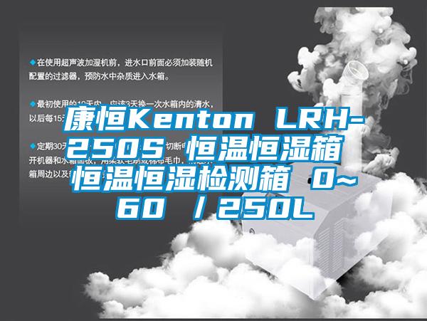 康恒Kenton LRH-250S 恒温恒湿箱 恒温恒湿检测箱 0~60℃/250L