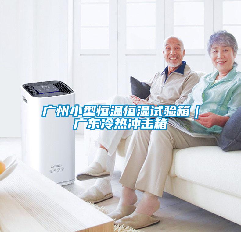 广州小型恒温恒湿试验箱|广东冷热冲击箱