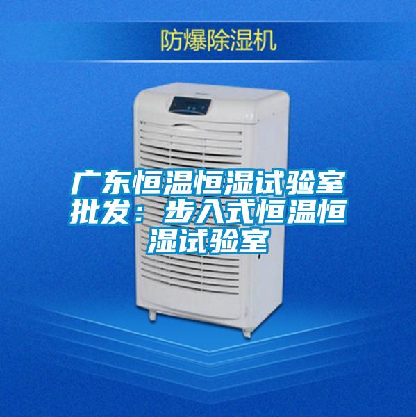 广东恒温恒湿试验室批发:步入式恒温恒湿试验室