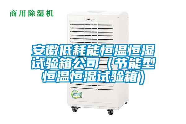 安徽低耗能恒温恒湿试验箱公司(节能型恒温恒湿试验箱)