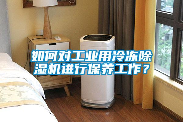 如何对工业用冷冻除湿机进行保养工作?