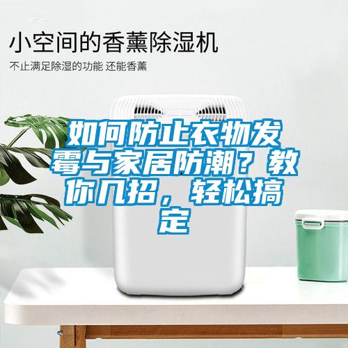 如何防止衣物发霉与家居防潮?教你几招,轻松搞定
