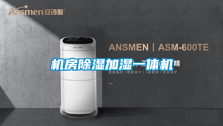 机房除湿加湿一体机
