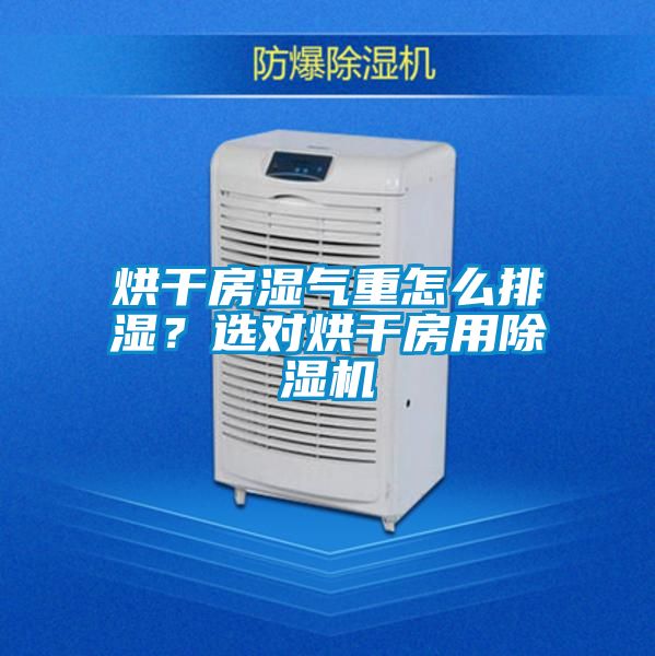 烘干房湿气重怎么排湿?选对烘干房用除湿机