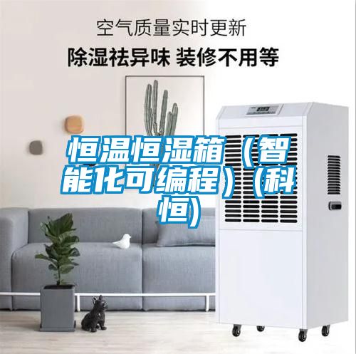 恒温恒湿箱（智能化可编程）(科恒)