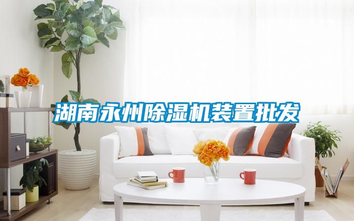 湖南永州除湿机装置批发