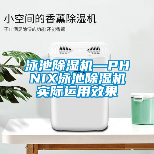 泳池除湿机—PHNIX泳池除湿机实际运用效果