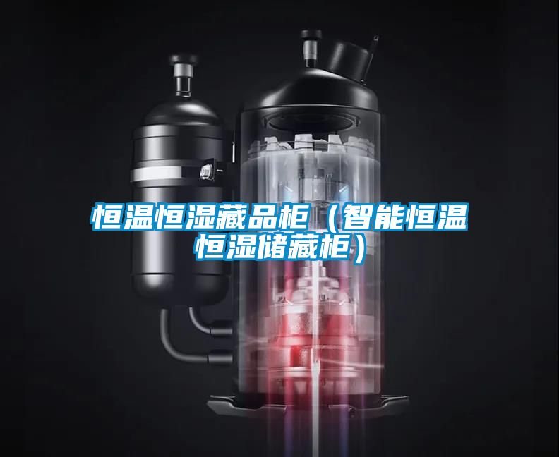 恒温恒湿藏品柜（智能恒温恒湿储藏柜）